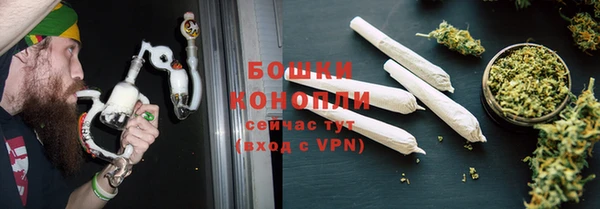 сатива Елабуга