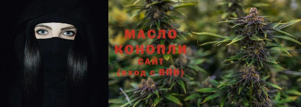 сатива Елабуга