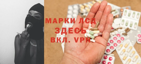 сатива Елабуга