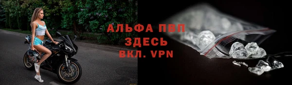 сатива Елабуга