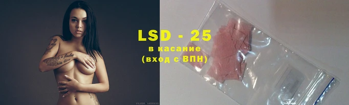 марки lsd Ельня