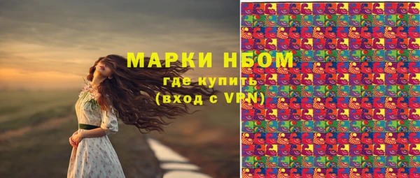 мет Елизово