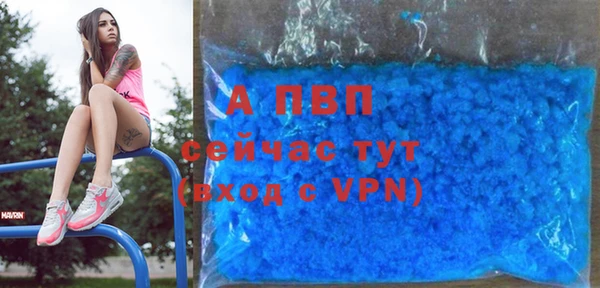 сатива Елабуга