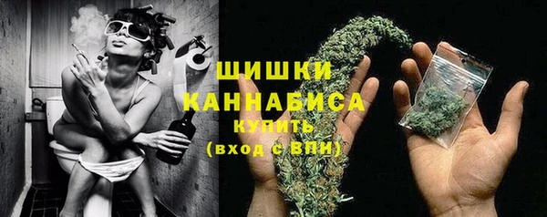 мет Елизово
